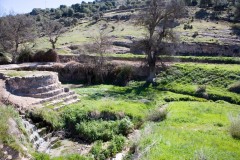 Presa de Barcinas